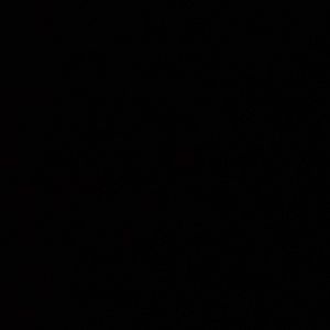 Meet your Posher, Monaisha